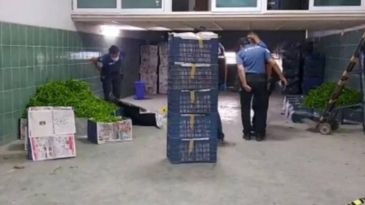 Evlenme teklifini reddedince öldürüldü! F5Haber