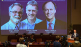 2019 Nobel Fizyoloji veya Tıp Ödülü'nün sahipleri belli oldu
