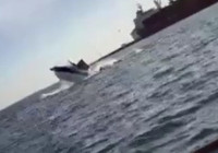 Meksika'da sudan sıçrayan balina tekneye çarptı: 2 yaralı