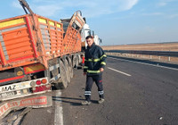 Bariyerlere çarpan TIR’ın dorsesindeki 2 büyükbaş öldü