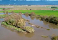 Büyük Menderes Nehri sağanak nedeniyle taştı