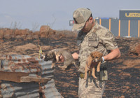 Yangında mahsur kalan yavru köpekleri jandarma kurtardı