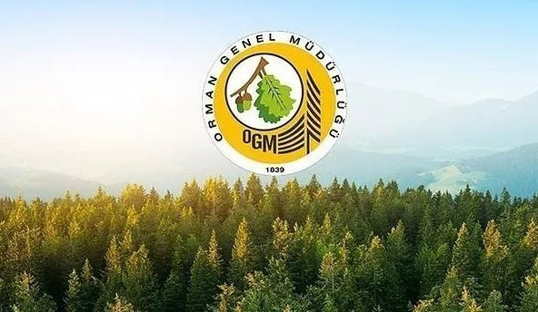 ogm sonuçları açıklandı