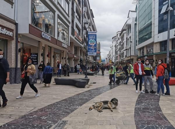 Ordu Valisi isyan etti: Sorumsuzca davrandılar, vakalar arttı! - Resim : 1