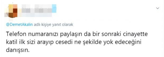 Demet Akalın'dan tepki çeken Pınar Gültekin paylaşımı - Resim : 4