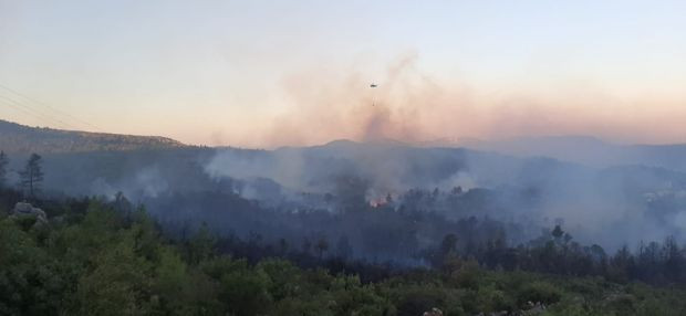 Antalya'da ormanlık alanda yangın çıktı - Resim : 1