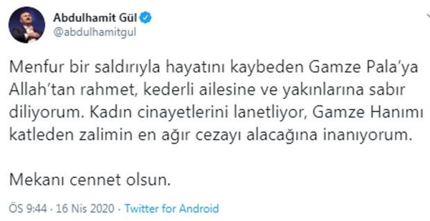 Bakan Gül'den Gamze Pala açıklaması! - Resim : 1