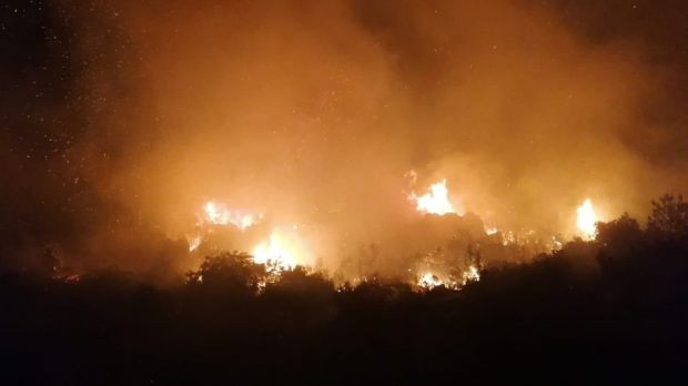Antalya'da ormanlık alanda yangın çıktı - Resim : 2