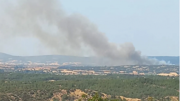 Çanakkale'de orman yangının çıkış nedeni belli oldu: Saatlerdir sürüyor! 1500 hektar alan etkilendi - Resim : 3