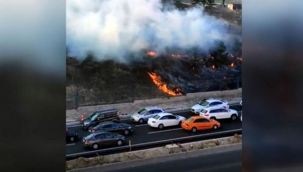 Ankara'da askeriyedeki ormanlık alanı ateşe verdi, suçüstü yakalandı - Resim : 1