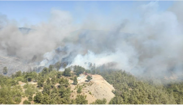 Bodrum'da orman yangını - Resim : 1