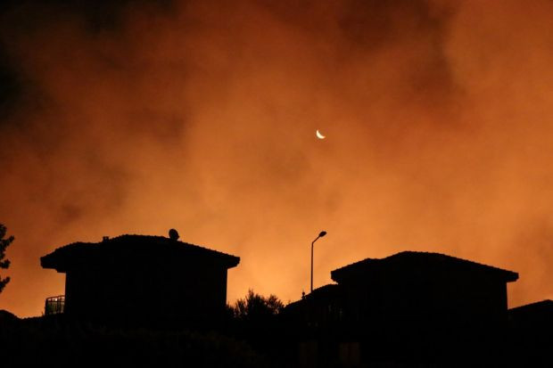 İzmir'de makilik alandaki yangın kontrol altına alındı - Resim : 2