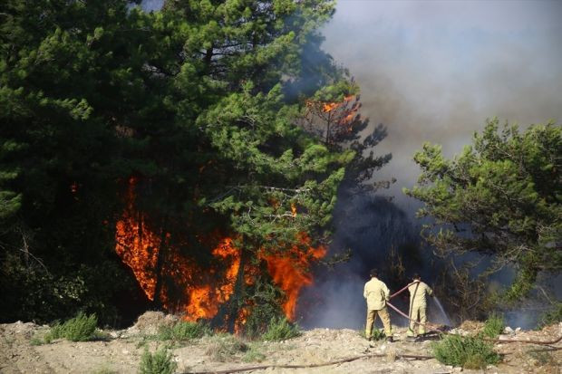 Hatay'daki orman yangınları kontrol altına alındı - Resim : 2