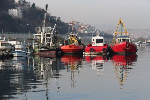 Karadeniz'de balıklar tersine göçe başladı - Resim : 2