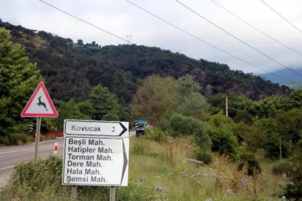 Bolu'daki gizemli kazıda 'büyük hazine' iddiası! Bölgedeki çoban anlattı - Resim : 1