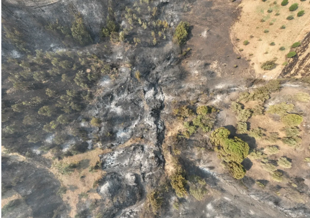 Çanakkale'de orman yangının çıkış nedeni belli oldu: Saatlerdir sürüyor! 1500 hektar alan etkilendi - Resim : 1