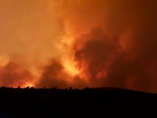Diyarbakır ve Mardin arasında korkunç yangın: 6 ölü var, 43 kişi tedavi altında - Resim : 2