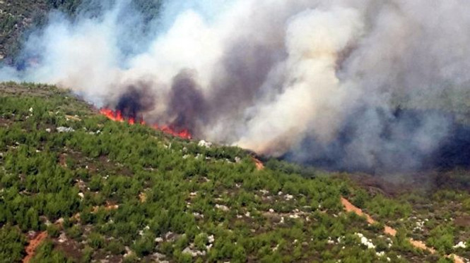 Muğla ve İzmir'de orman yangınları sürüyor - Resim : 1