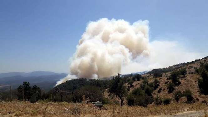 Muğla ve İzmir'de orman yangınları sürüyor - Resim : 3