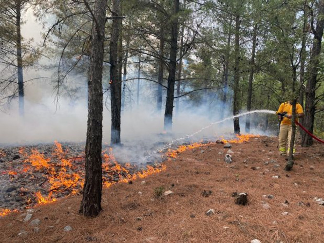 Muğla'da yıldırımlar 16 orman yangını çıkardı! - Resim : 1