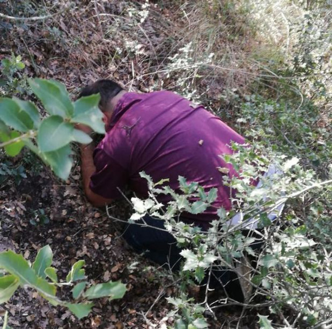 1 yıldır ormanlık alanlarda saklanan şüpheli JASAT ekiplerince yakalandı - Resim : 1