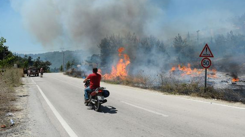 Bursa'da orman yangını