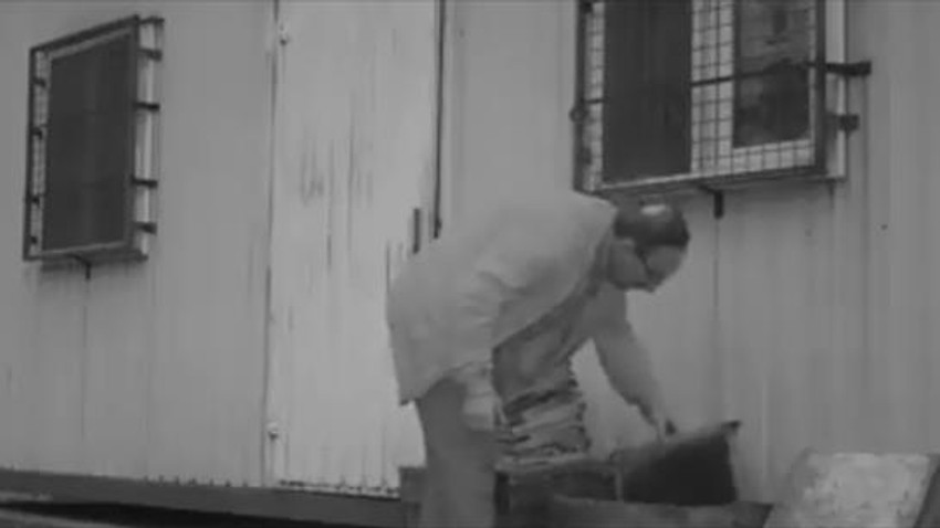 Ayıları önce kovaladı, sonra özür dileyerek bal verdi