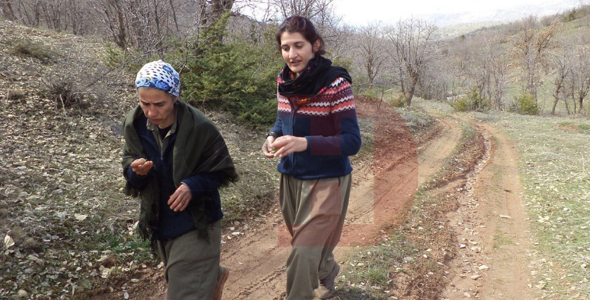 HDP'li Semra Güzel'in yeni fotoğrafları ortaya çıktı! PKK kampında adeta eğitime alınmış - Sayfa 1