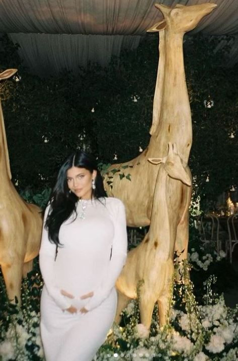 Kylie Jenner'dan baby shower partisi - Sayfa 2
