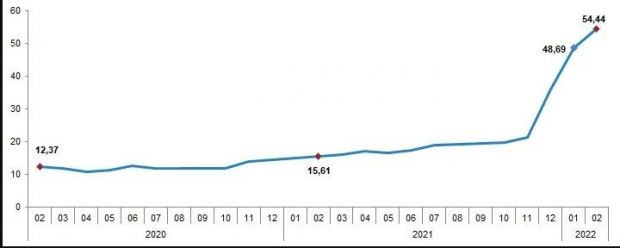 Şubat ayı enflasyon rakamları açıklandı - Resim : 1