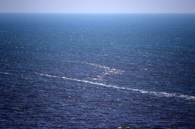 Marmara Denizi alarm veriyor! Tehlike Karadeniz'in en az 2 katı - Resim : 2
