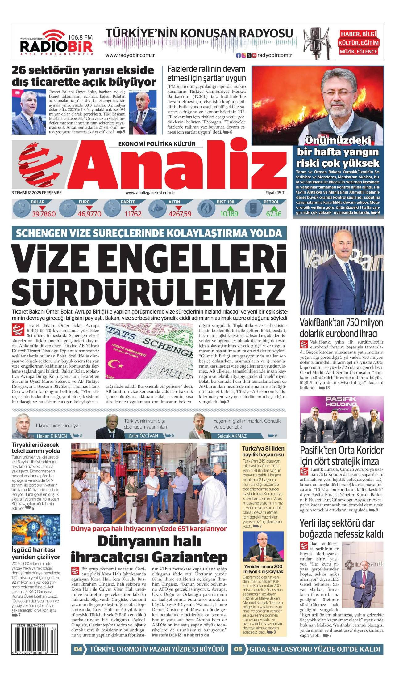 analiz