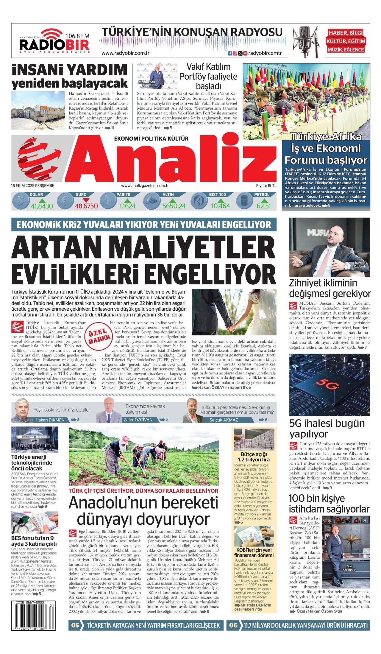 analiz