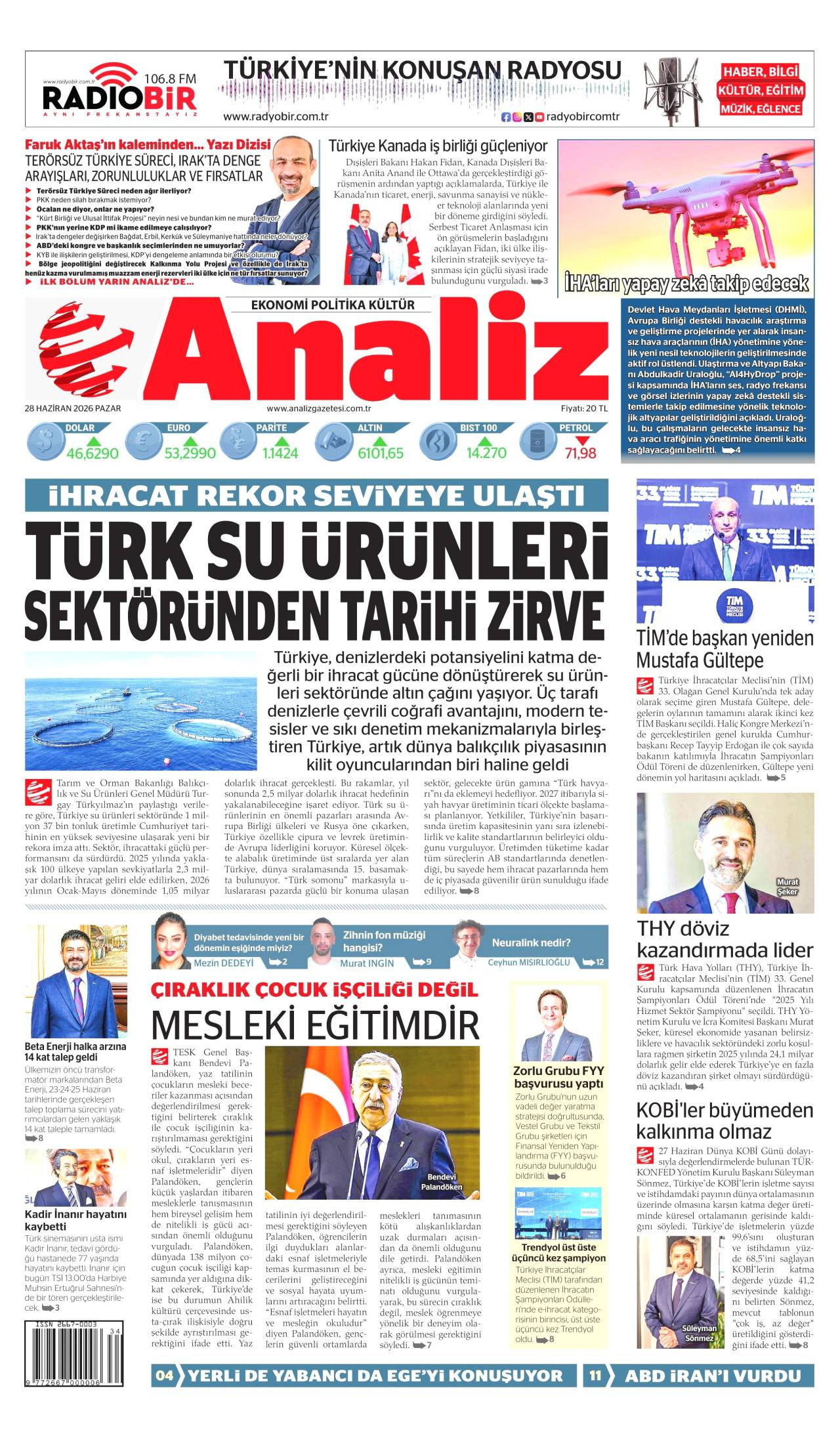 analiz