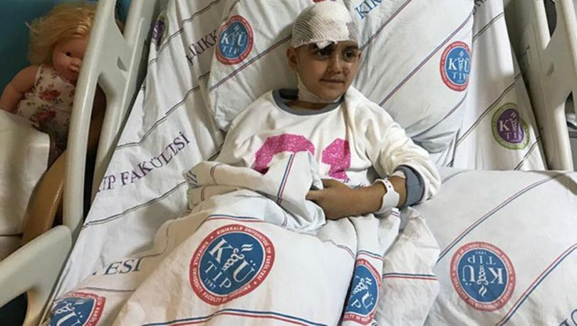 Kırşehir'de Pitbull dehşeti! - Resim : 1