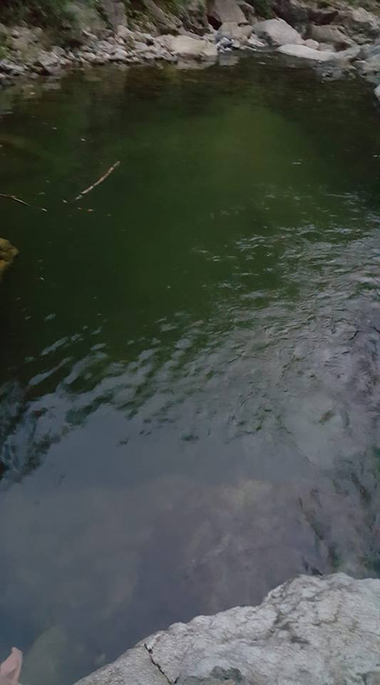 Yüzmek için girdikleri derede boğuldular - Resim : 1