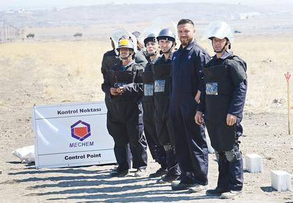 Bombacı mülayim - Resim : 2