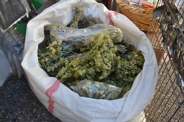 Bu bitkiler kışın zinde tutuyor