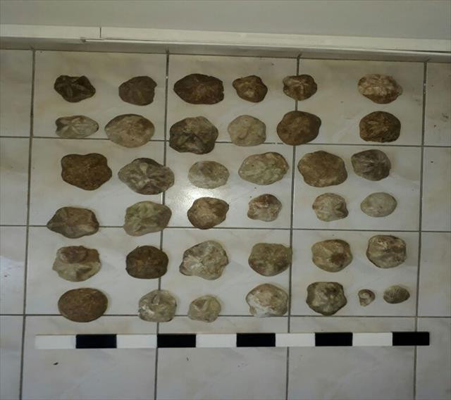 Kemal Sunal'ın filmi gerçek oldu