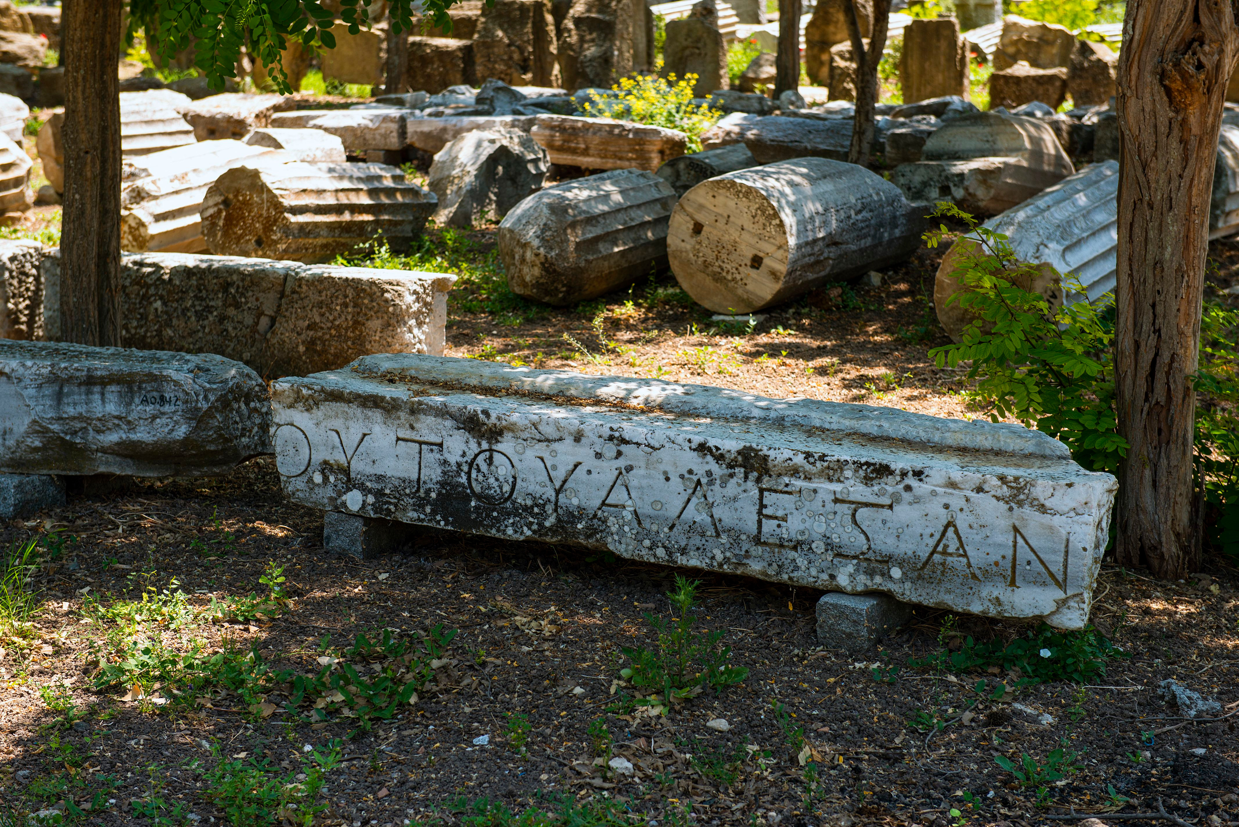 Dünya'nın kültür mirası Troya'ya ziyaretçi akını - Resim : 7